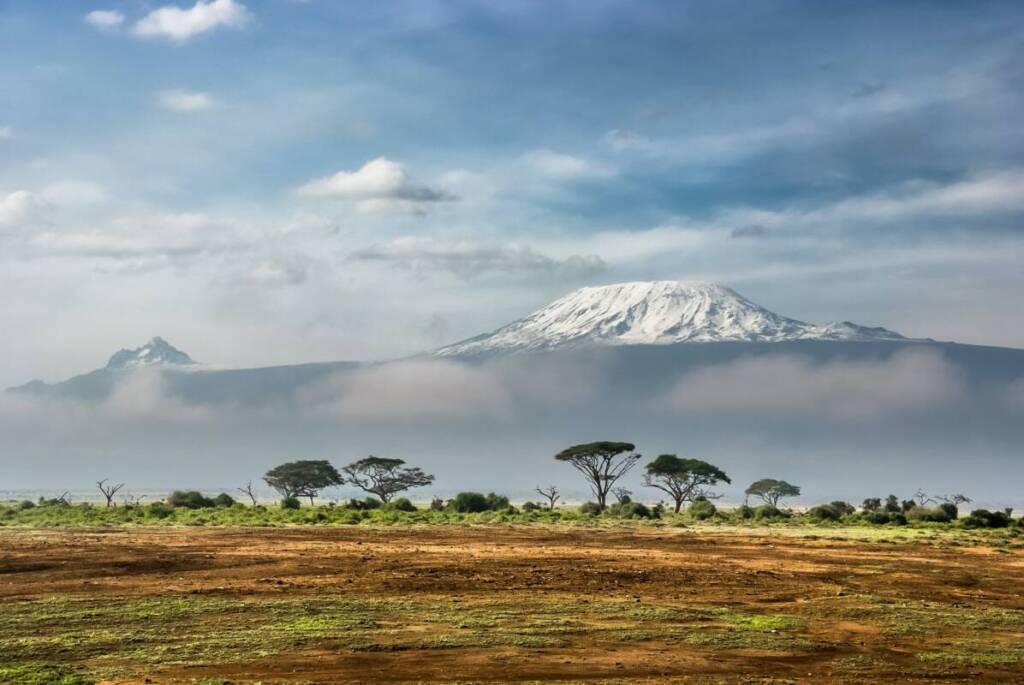 Le Kilimandjaro enneigé