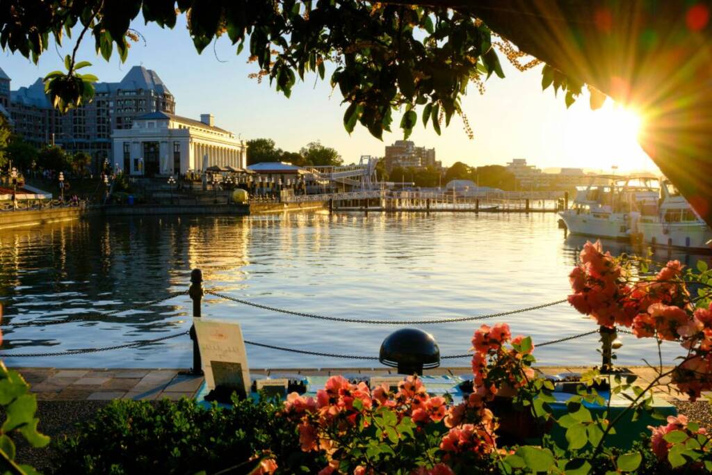 Ville de Victoria à visiter pendant votre road trip au Canada