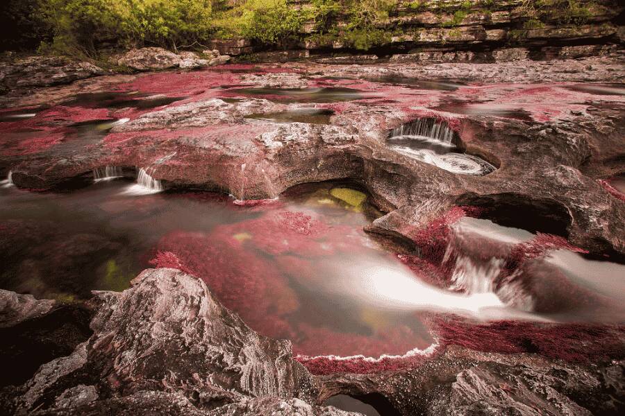 Une rivière coule sur des formations rocheuses parsemées de cavités circulaires, où des plantes aquatiques rouges colorent l'eau transparente, créant de petites cascades à effet de filé.