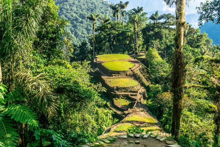 Des terrasses circulaires en herbe et en pierre s'élèvent au milieu d'une jungle tropicale dense et verdoyante, dominée par de grands palmiers sous une lumière naturelle.