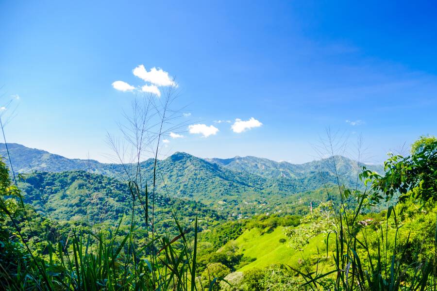 Une vaste chaîne de montagnes verdoyantes s'étend sous un ciel bleu parsemé de quelques nuages blancs, cadrée par de grandes herbes sauvages et de la végétation au premier plan.