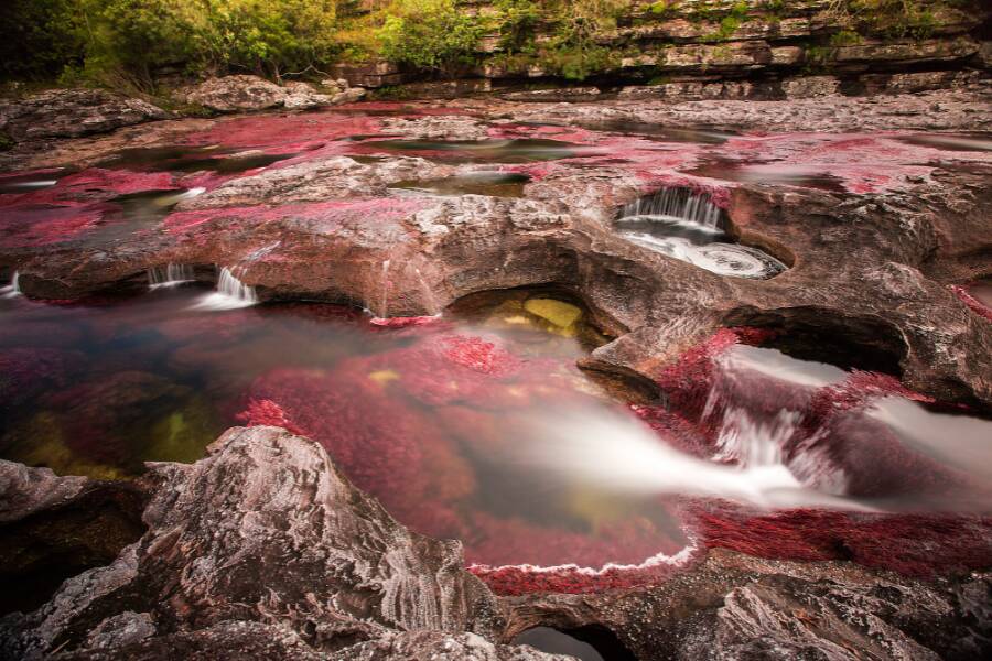 La rivière de Caño Cristales