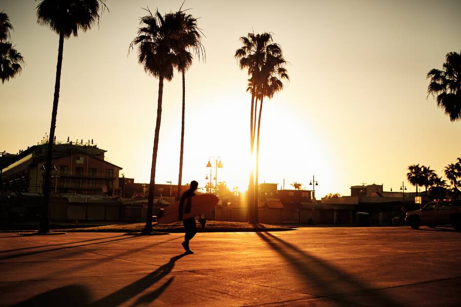 Une immersion totale à Venice Beach