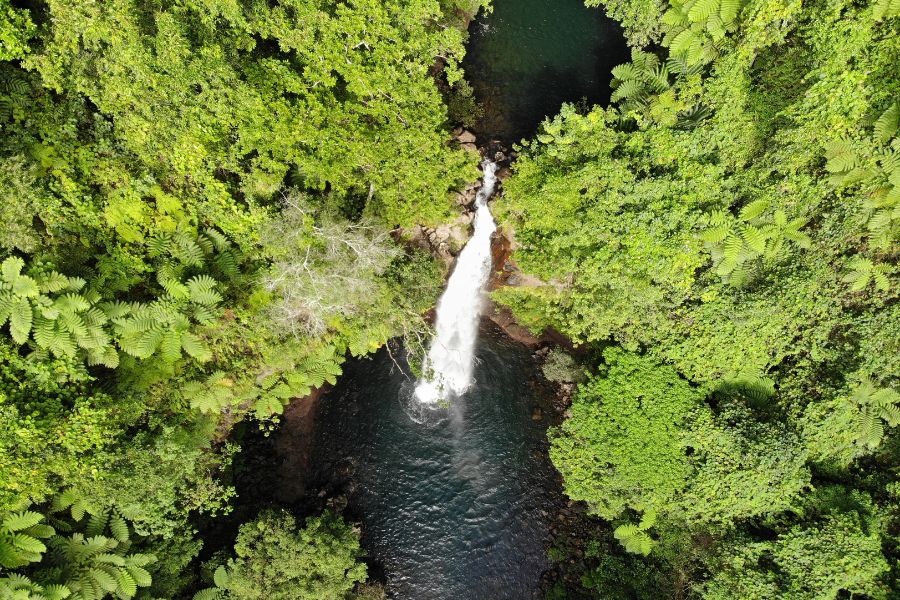 Cascade sur l’île de Taveuni