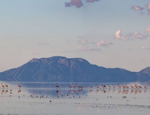 Le lac Natron en Tanzanie