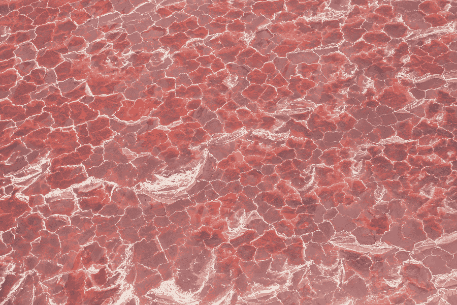 Un gros plan texturé montre la surface craquelée et rouge vif d'un lac de sel asséché, créant des motifs géométriques irréguliers.