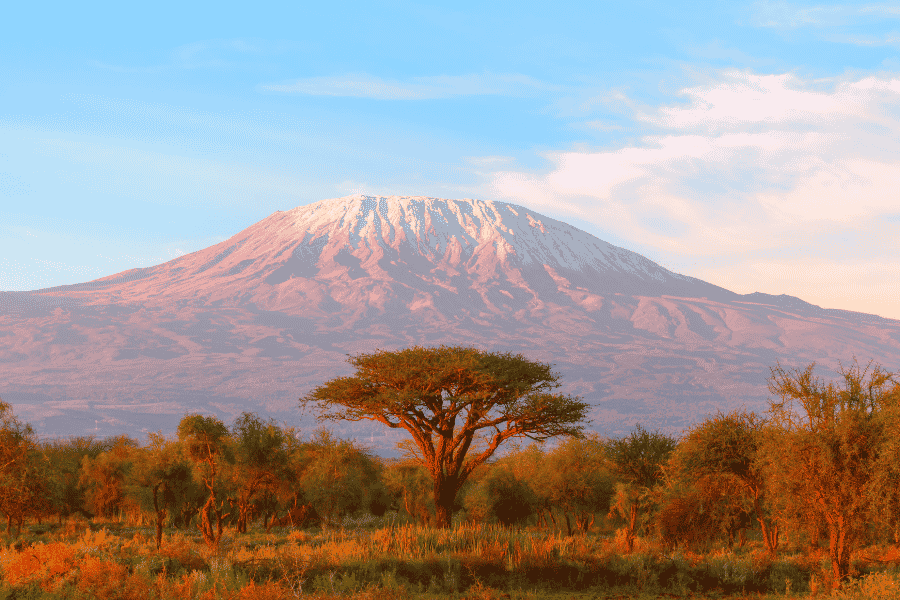 Le mont Kilimandjaro enneigé s'élève majestueusement en arrière-plan, tandis qu'un arbre solitaire se dresse dans une savane baignée par une lumière dorée.