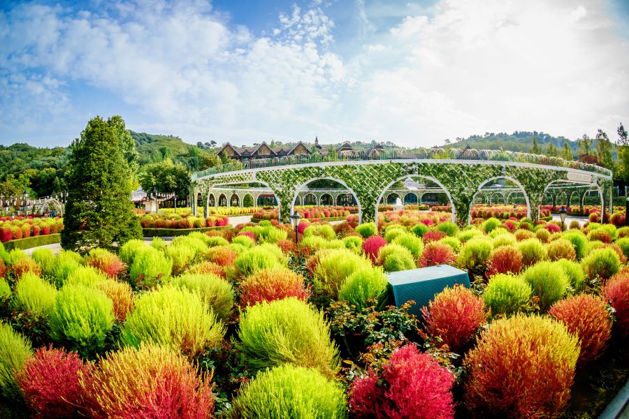 Everland se trouve à une cinquantaine de kilomètres de Séoul