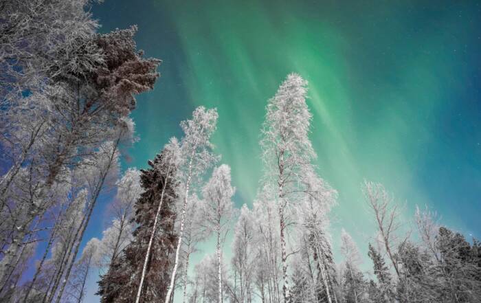 Au soleil ou sous la neige : 15 destinations pour un voyage en décembre