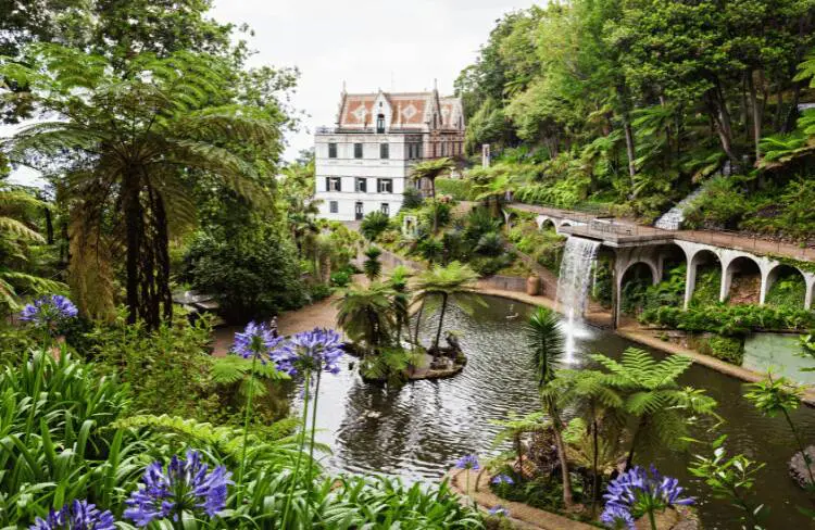 Jardin tropical Monte Palace, Madère