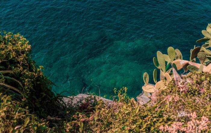 10 expériences incontournables en Basse-Californie