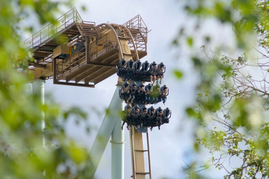 Un wagon de montagnes russes rempli de passagers descend à pic une pente raide en acier, cadré par le feuillage vert d'arbres au premier plan.