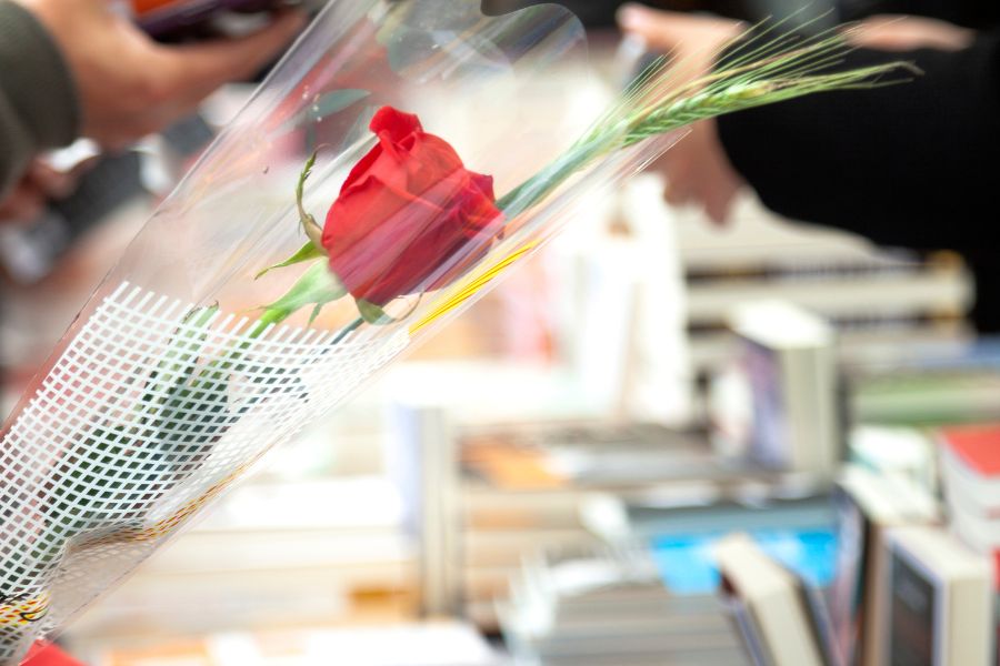 Rose de la Sant Jordi et livres