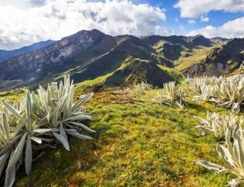 Quand partir en Colombie ?