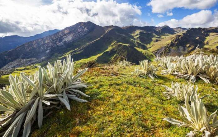 Quand partir en Colombie ?