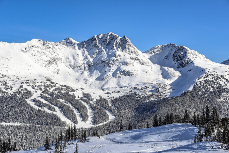 Des pistes de ski découpent une forêt de sapins au pied d'un grand massif montagneux enneigé sous un ciel bleu.