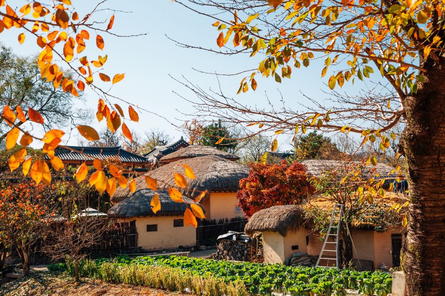 Village traditionnel d’Andong Hahoe en Corée