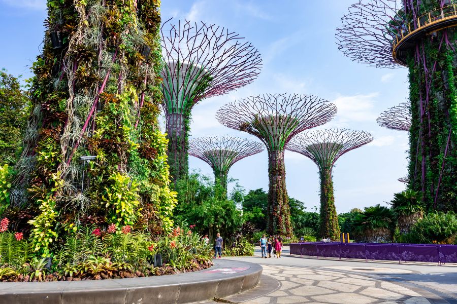 Gardens by the Bay, Singapour