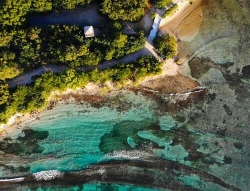 Que voir en guadeloupe ? Notre guide complet pour un voyage inoubliable