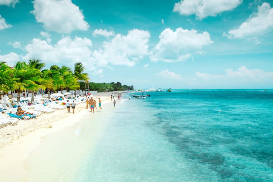 Des palmiers verdoyants bordent une plage de sable blanc et une eau marine limpide et turquoise sous un ciel dégagé ensoleillé.