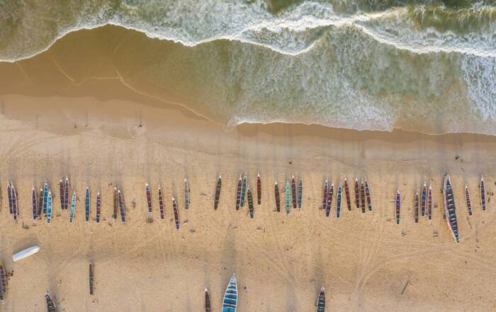 Explorer le Sénégal : les expériences et lieux à ne pas manquer