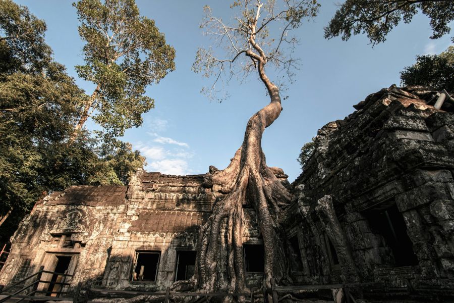 Ta Prohm