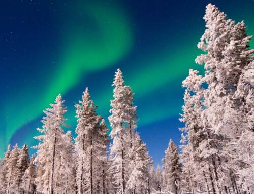Destination magique : partir en Laponie pour Noël