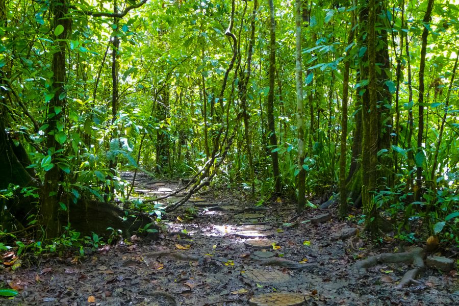 parc national Corcovado