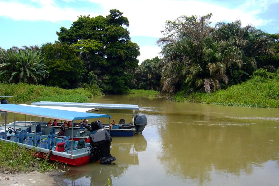 parc national de Tortuguero que voir a costa rica