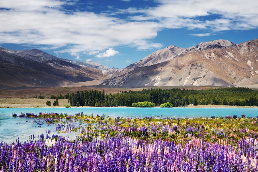Lac Tekapo, Nouvelle-Zélande