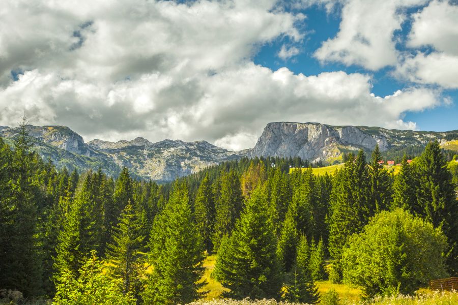 Parc national de Durmitor, Monténégro