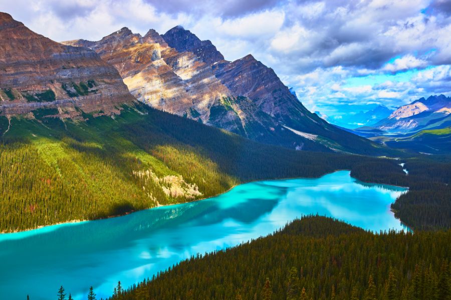 Le lac Peyto, parc national de Banff