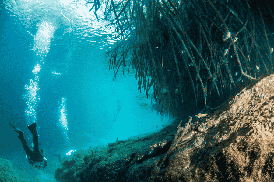 Exploration d’un cénote à Tulum