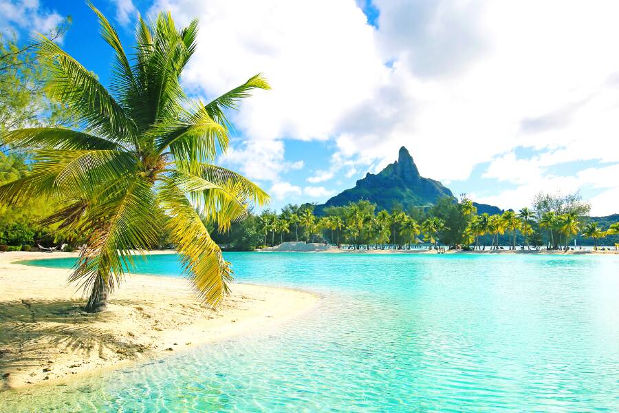Un palmier s'incline au-dessus d'une plage de sable blanc et d'un lagon turquoise translucide face à une montagne tropicale, montrant les couleurs spectaculaires à Bora Bora.