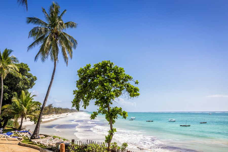 Des palmiers et des arbres bordent une plage de sable fin surplombant une mer turquoise bordée de petites embarcations sous un ciel ensoleillé.