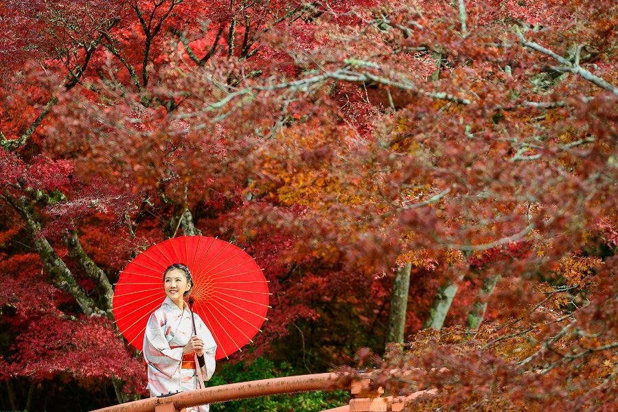 Une femme vêtue d'un kimono blanc se tient sur un pont en bois, tenant une ombrelle rouge sous une canopée d'érables aux feuilles d'un rouge éclatant.
