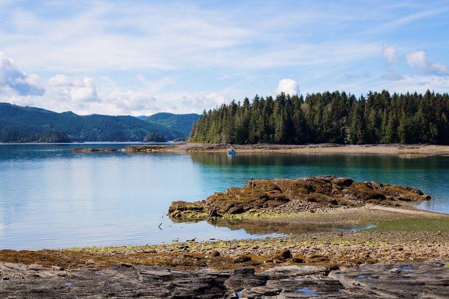 Une baie d'eau paisible entourée de forêts de pins épaisses et de rivages rocheux s'étend sous un ciel parsemé de nuages.