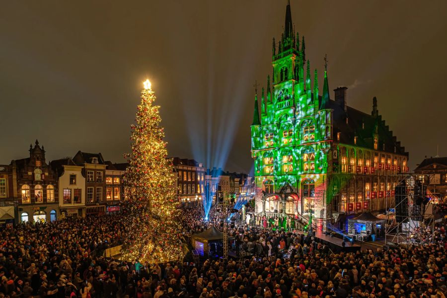 Une foule dense se rassemble autour d'un grand sapin scintillant devant un hôtel de ville médiéval illuminé de vert la nuit.
